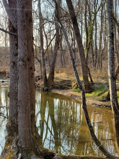 Potomac Hills Park - McLean, VA