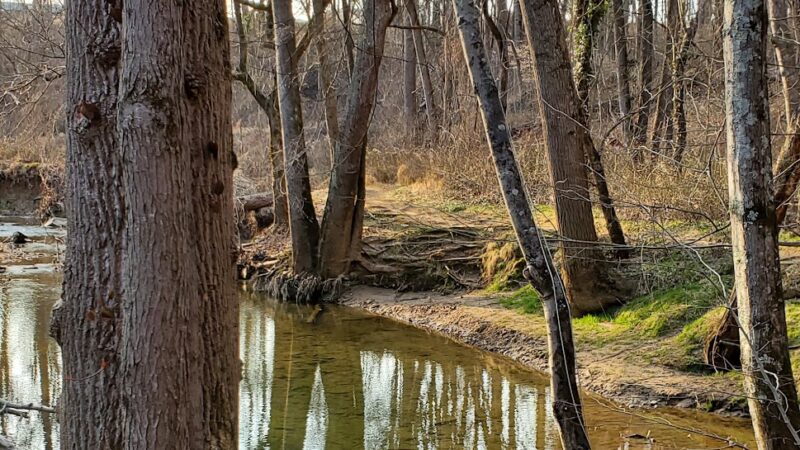 Potomac Hills Park - McLean, VA