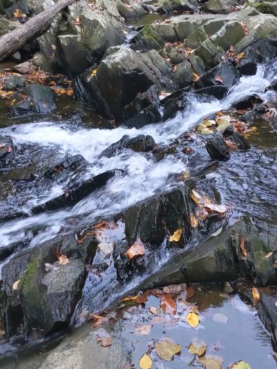 Scott’s Run Hiking Trail - McLean, VA