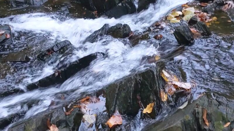 Scott’s Run Hiking Trail - McLean, VA