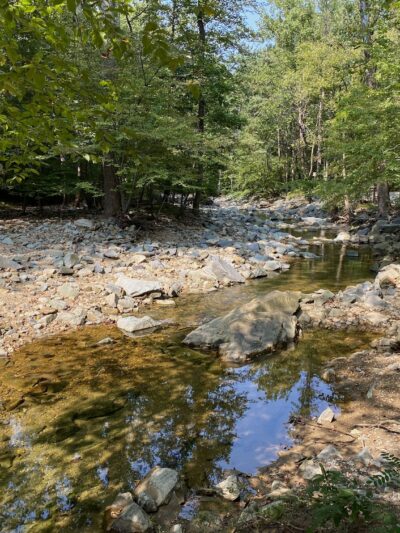 Scott’s Run Hiking Trail - McLean, VA