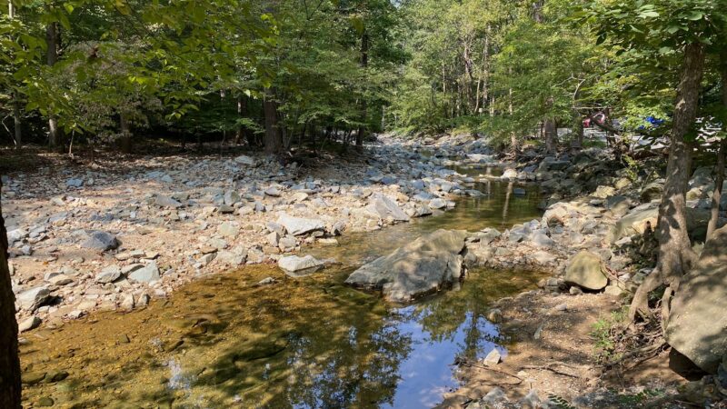 Scott’s Run Hiking Trail - McLean, VA