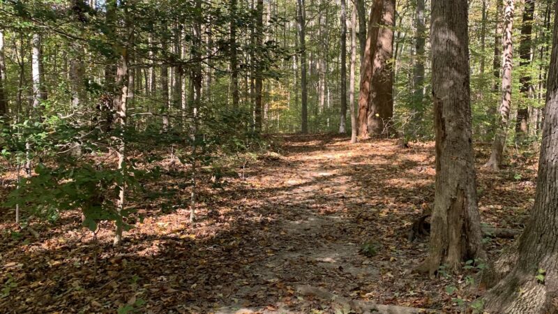 Scott’s Run Hiking Trail - McLean, VA