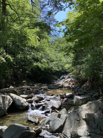 Scott's Run Nature Preserve Parking - McLean, VA