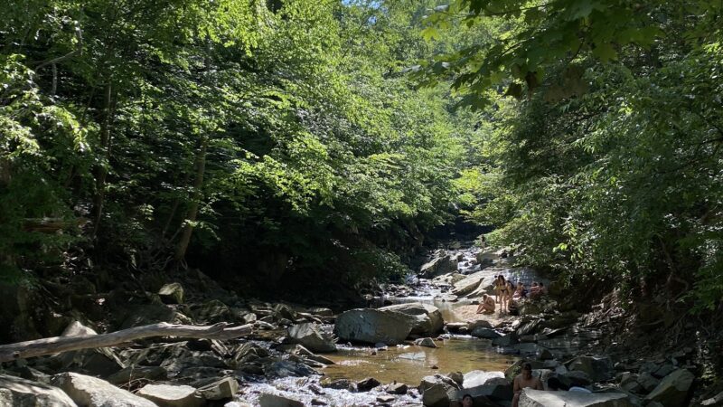 Scott's Run Nature Preserve Parking - McLean, VA