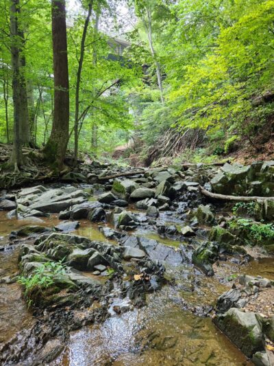 Turkey Run Park - McLean, VA