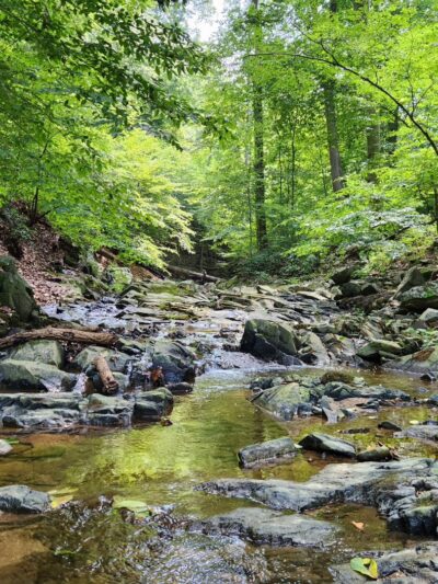 Turkey Run Park - McLean, VA