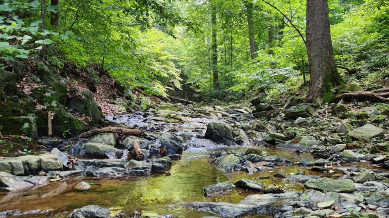 Turkey Run Park - McLean, VA