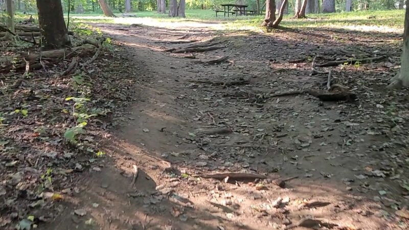 Turkey Run Park - McLean, VA