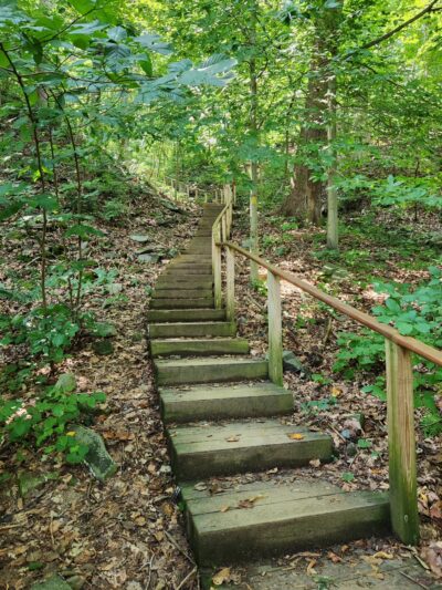 Turkey Run Park - McLean, VA