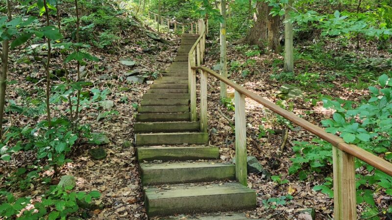 Turkey Run Park - McLean, VA