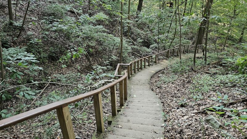 Turkey Run Trailhead - McLean, VA