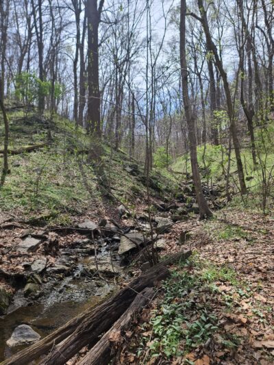 Turkey Run Trailhead - McLean, VA