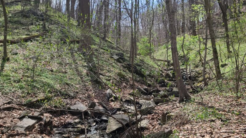 Turkey Run Trailhead - McLean, VA