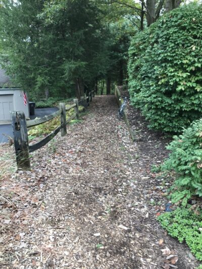 Montour Trail access trail - McMurray, PA