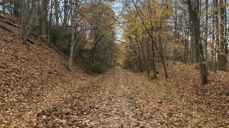 Montour Trail access trail - McMurray, PA