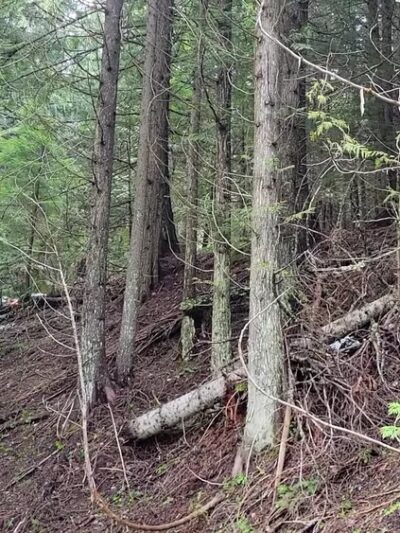 Mount Spokane State Park - Mead, WA