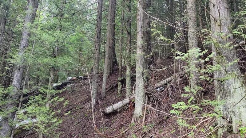 Mount Spokane State Park - Mead, WA