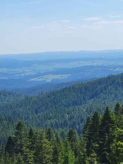 Mount Spokane State Park - Mead, WA