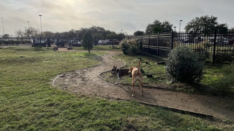 Texas Direct Auto Dog Park - Meadows Place, TX