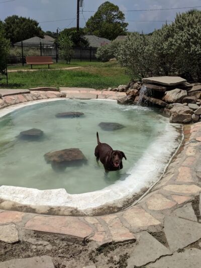 Texas Direct Auto Dog Park - Meadows Place, TX