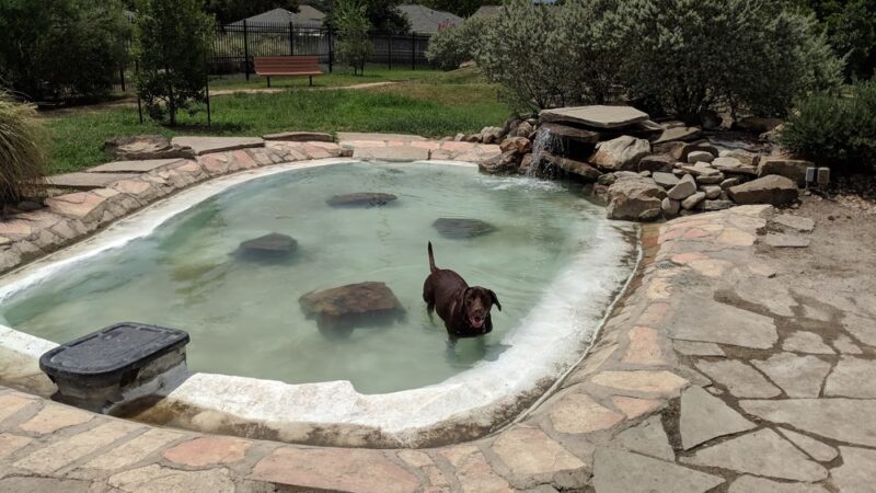 Texas Direct Auto Dog Park - Meadows Place, TX