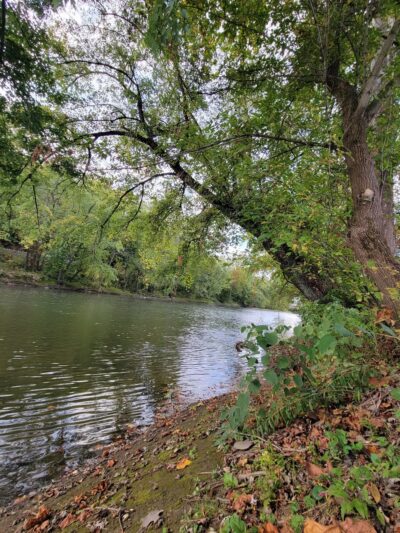 Bicentennial Park - Meadville, PA