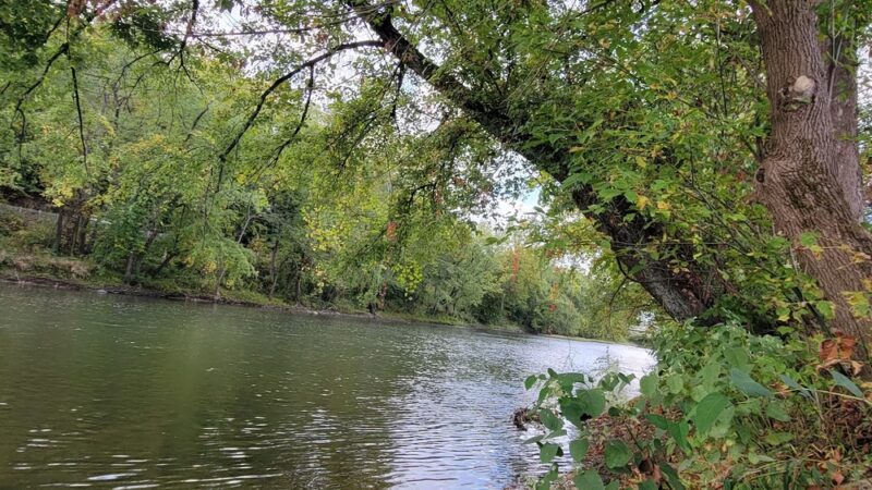 Bicentennial Park - Meadville, PA