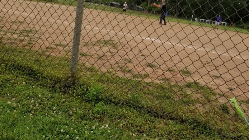 Lincoln Avenue Sports Complex - Meadville, PA