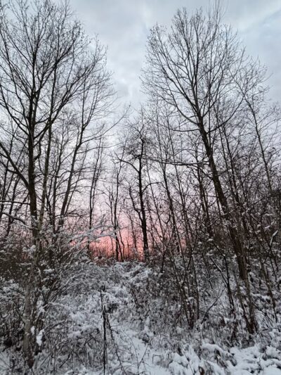 Lincoln Avenue Sports Complex - Meadville, PA