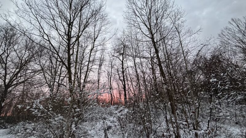 Lincoln Avenue Sports Complex - Meadville, PA