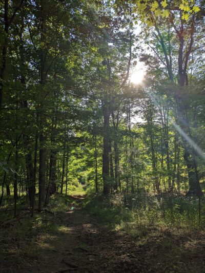 Oakgrove Park - Meadville, PA