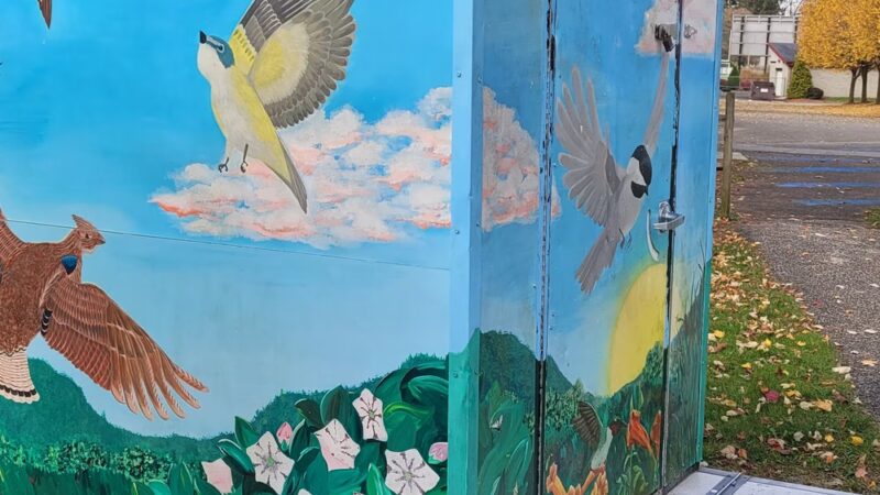 Shady Brook Park - Meadville, PA