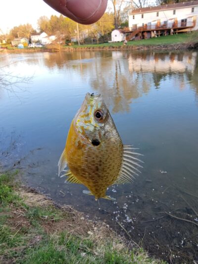 Grantham Park - Mechanicsburg, PA