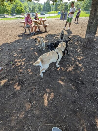 Lower Allen Community Park - Mechanicsburg, PA