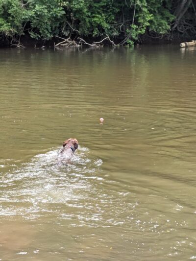 Lower Allen Community Park - Mechanicsburg, PA