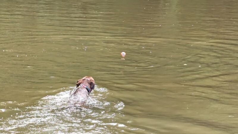 Lower Allen Community Park - Mechanicsburg, PA