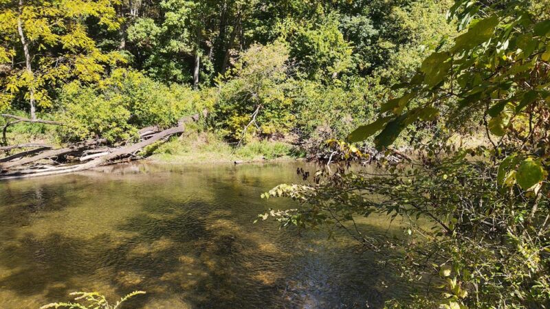 Lower Allen Community Park - Mechanicsburg, PA