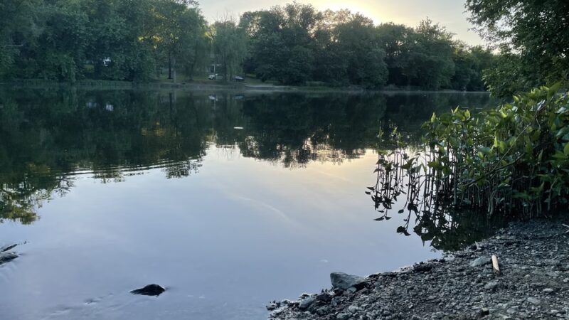 Srouji Park - Mechanicsburg, PA
