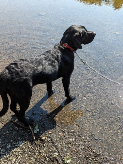 Srouji Park - Mechanicsburg, PA