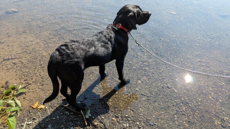 Srouji Park - Mechanicsburg, PA