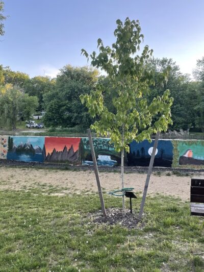 Srouji Park - Mechanicsburg, PA