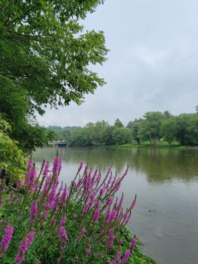 Srouji Park - Mechanicsburg, PA