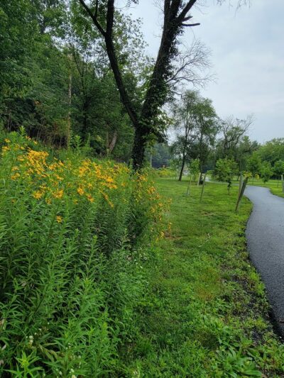 Srouji Park - Mechanicsburg, PA