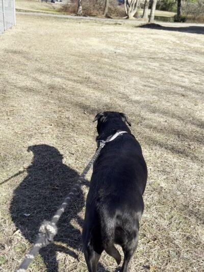 John V. Baggett Park - Mechanicsville, MD