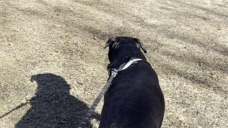 John V. Baggett Park - Mechanicsville, MD