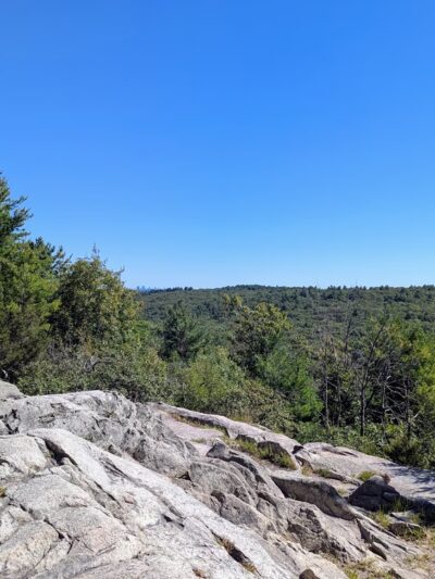 Fork Factory Brook Reservation - Medfield, MA
