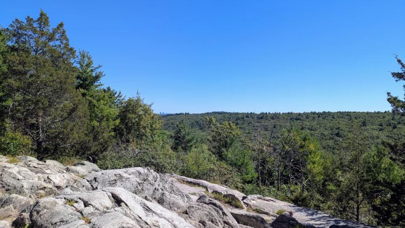 Fork Factory Brook Reservation - Medfield, MA