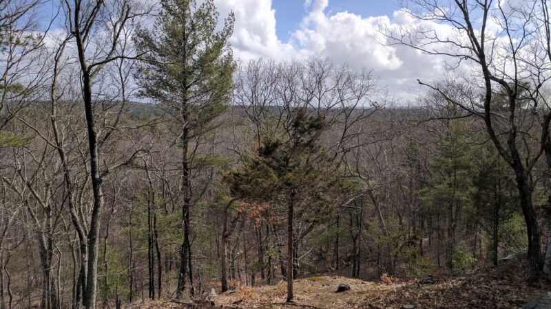 Fork Factory Brook Reservation - Medfield, MA