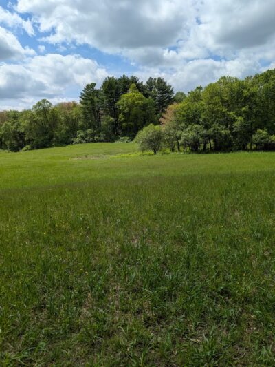 Fork Factory Brook Reservation - Medfield, MA